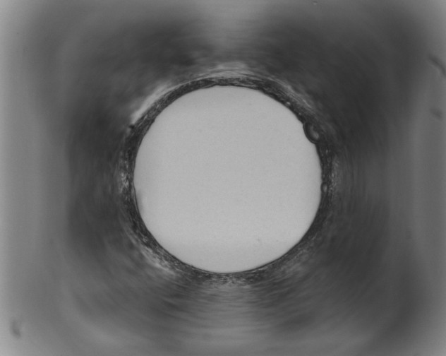 X0000099421400200806060944