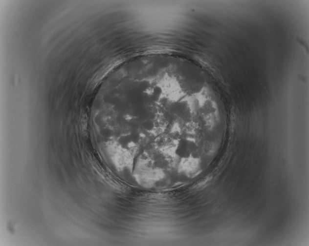 X0000099421401200806060944