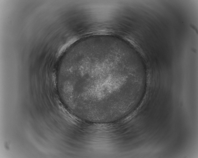 X0000099421402200806060944