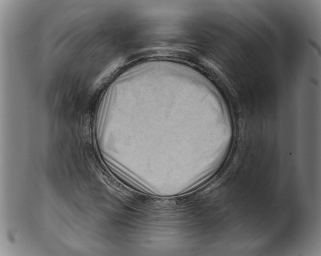 X0000099421403200806060944