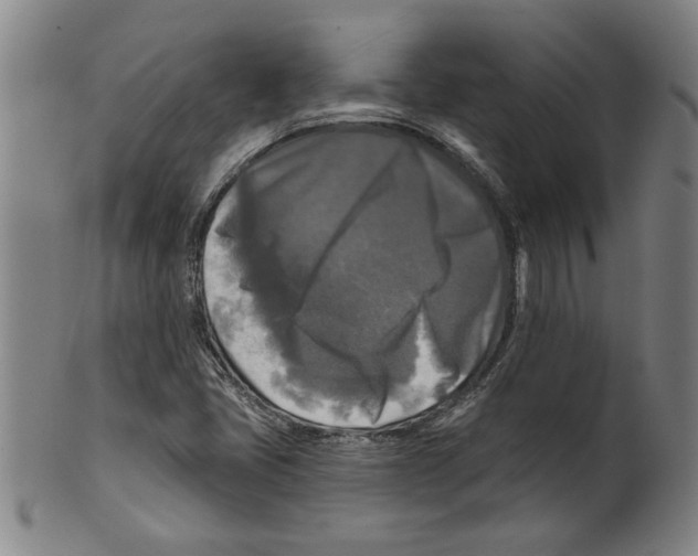 X0000099421405200806060944