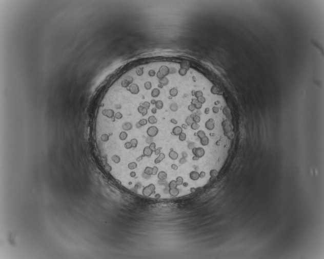 X0000099421406200806060944