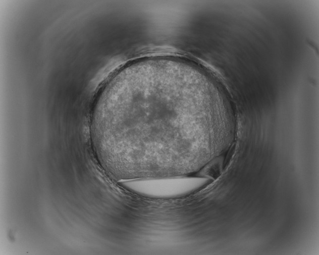 X0000099421407200806060944