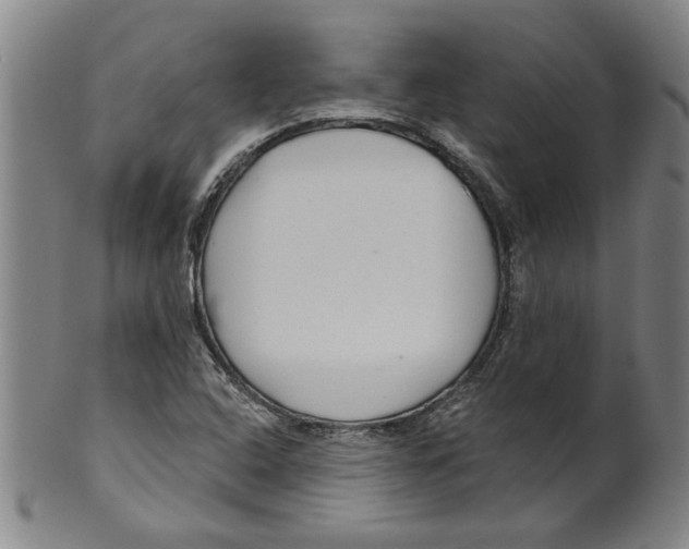 X0000099421408200806060944