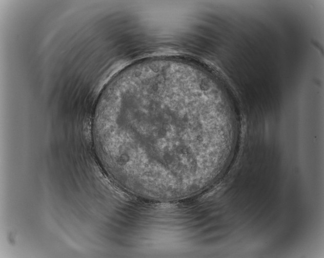 X0000099421409200806060944