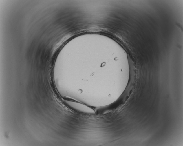 X0000099421410200806060944