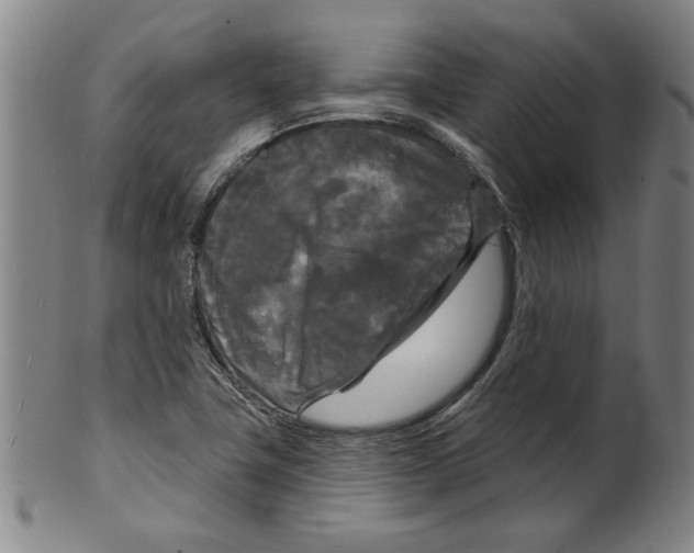 X0000099421411200806060944