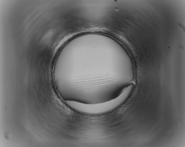 X0000099421412200806060944