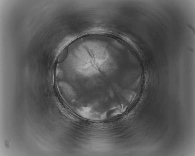 X0000099421413200806060944