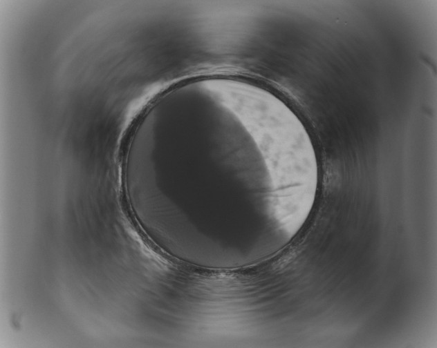 X0000099421414200806060944