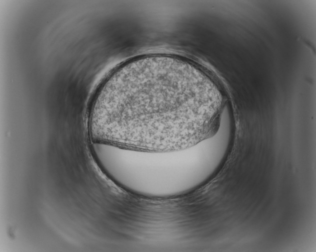 X0000099421416200806060944