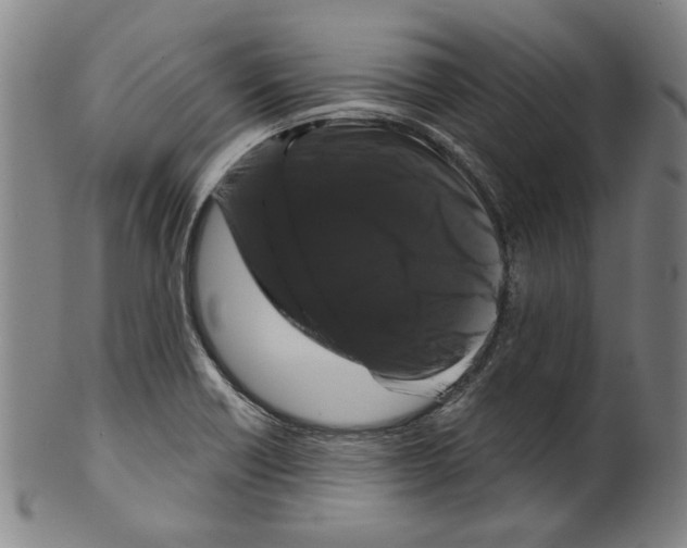 X0000099421418200806060945