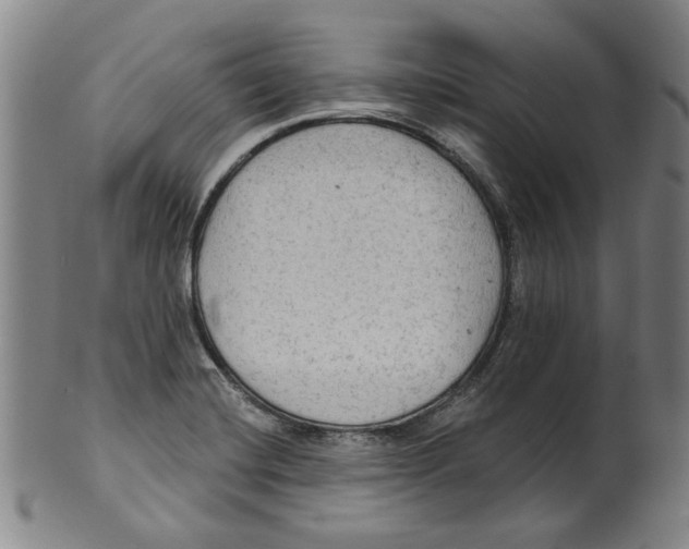X0000099421420200806060945