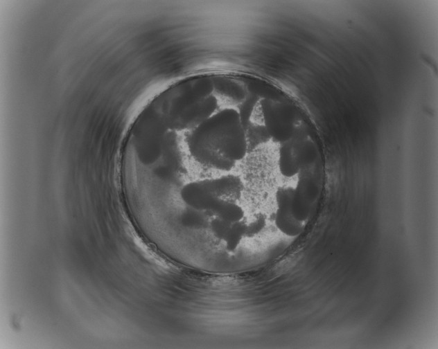 X0000099421421200806060945