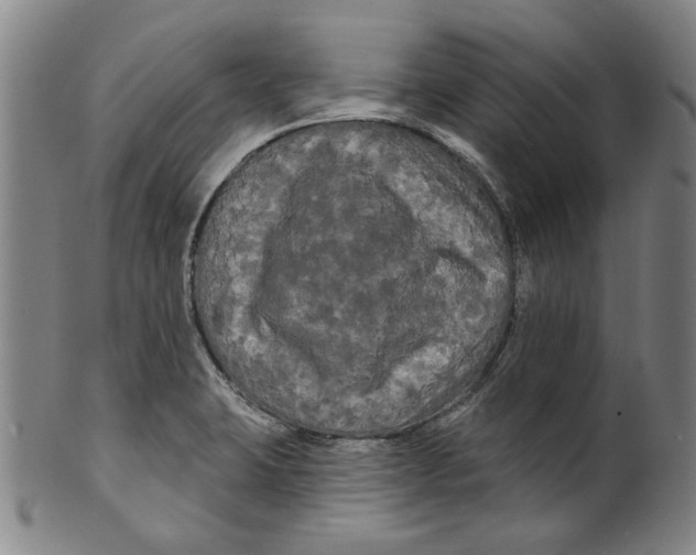 X0000099421423200806060945
