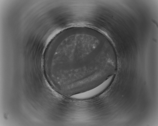 X0000099421424200806060945