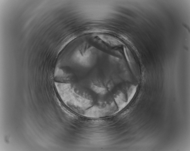 X0000099421425200806060945
