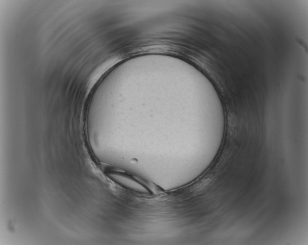 X0000099421426200806060945