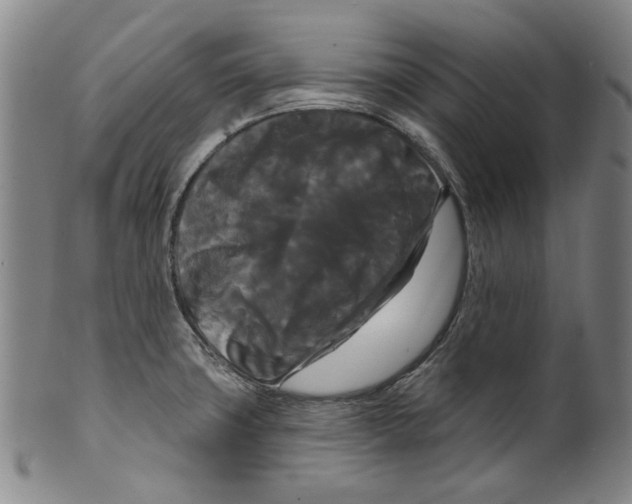 X0000099421427200806060945