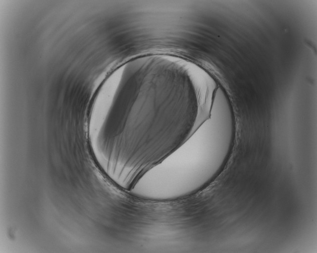 X0000099421428200806060945