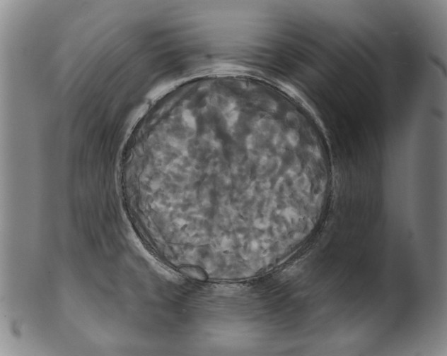 X0000099421429200806060945