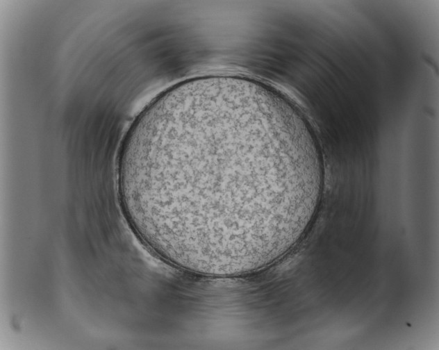 X0000099421430200806060945