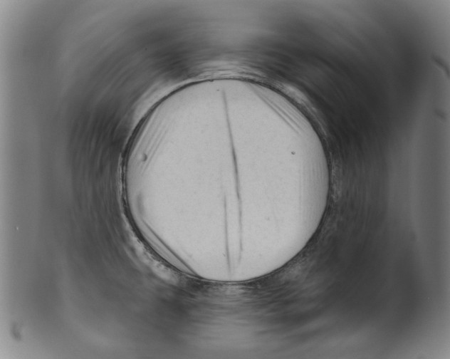 X0000099421431200806060945