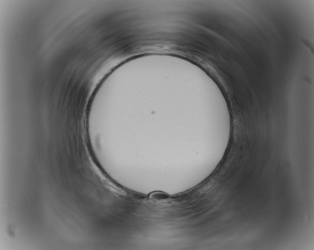 X0000099421432200806060945