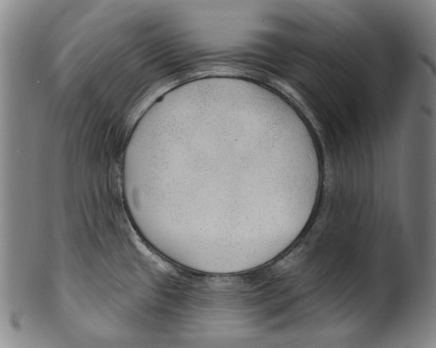 X0000099421433200806060945