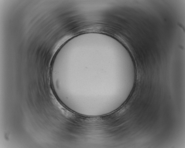 X0000099421434200806060945