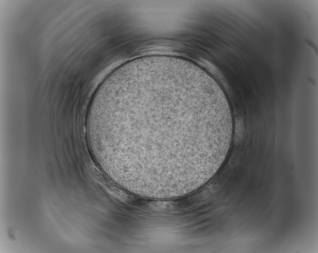 X0000099421435200806060945