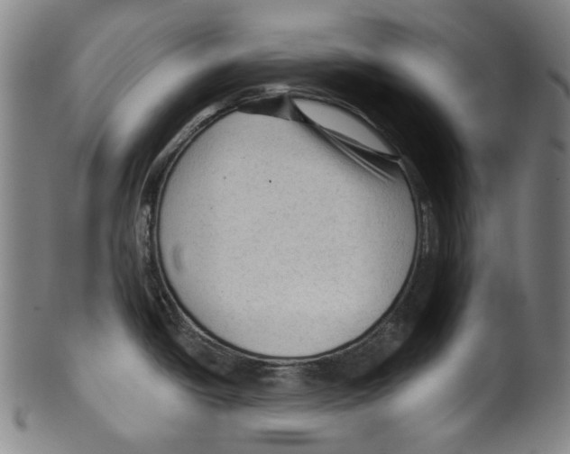 X0000099421438200806060945