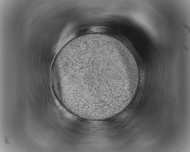 X0000099421439200806060945