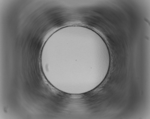 X0000099421440200806060945