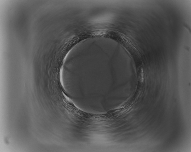 X0000099421441200806060944