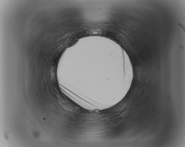 X0000099421442200806060944