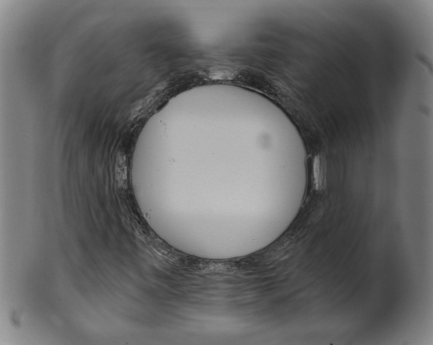 X0000099421443200806060944