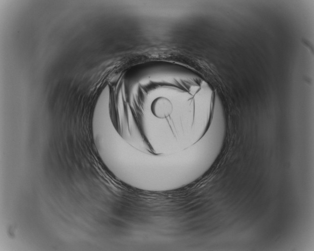 X0000099421444200806060944