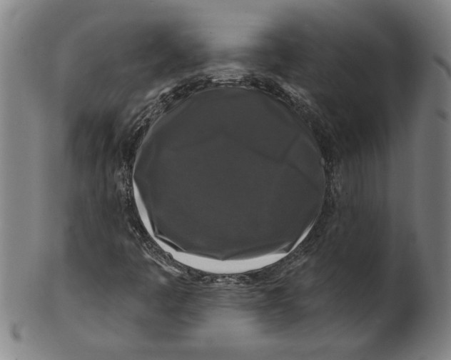 X0000099421445200806060944