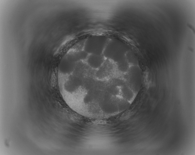 X0000099421446200806060944