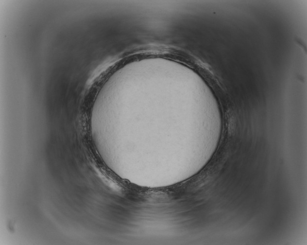 X0000099421448200806060944