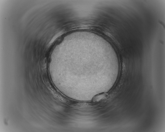 X0000099421450200806060944