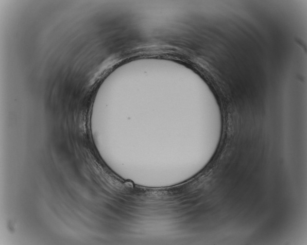 X0000099421451200806060944