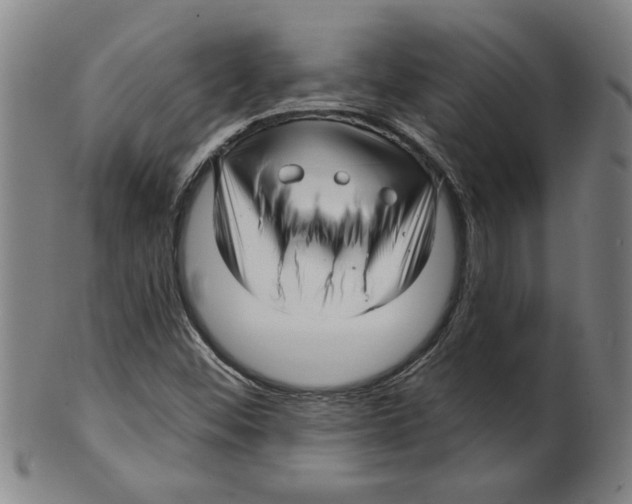 X0000099421452200806060944