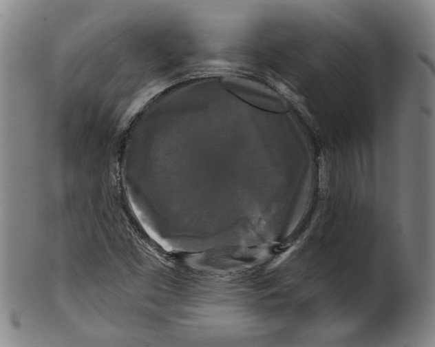 X0000099421453200806060944