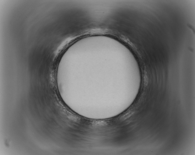 X0000099421454200806060944