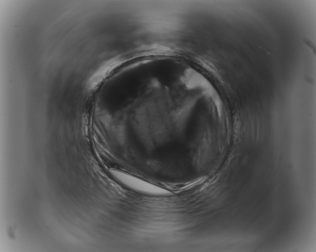 X0000099421455200806060944