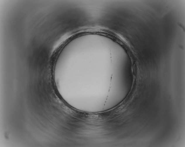 X0000099421456200806060944