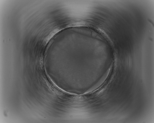 X0000099421457200806060944