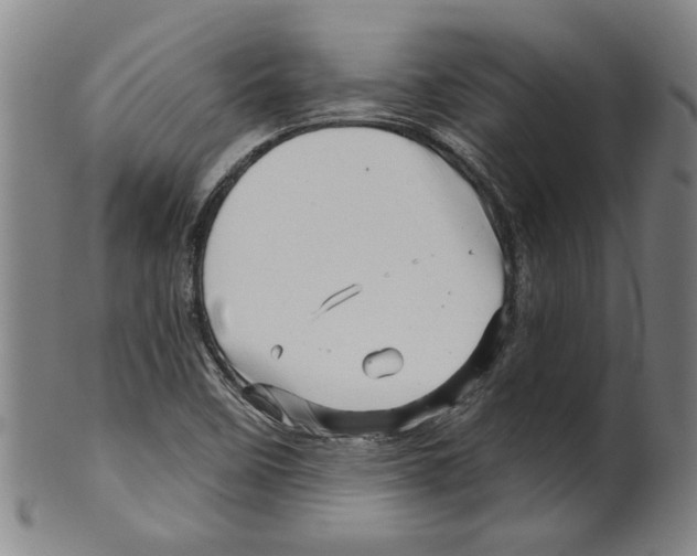 X0000099421458200806060944